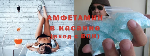 гидра Липки