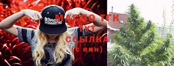 ПСИЛОЦИБИНОВЫЕ ГРИБЫ Лысково